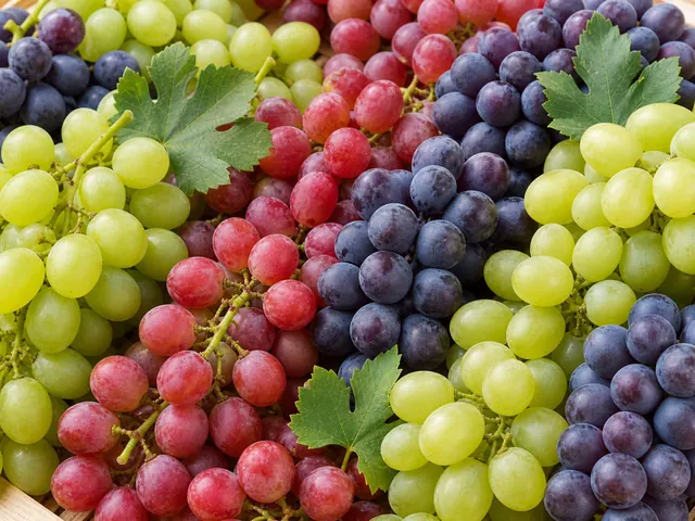 العنب