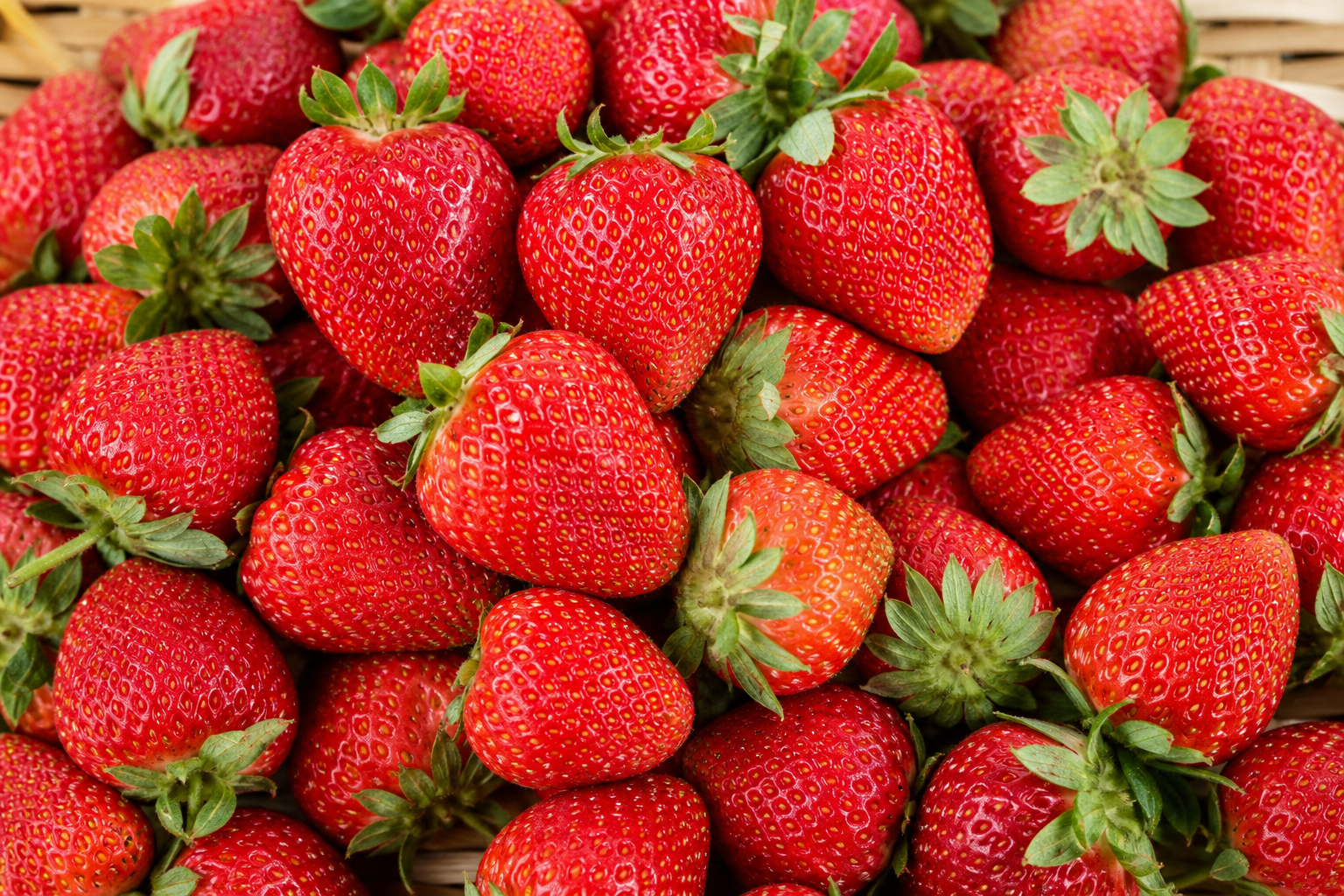 Strawberries 1