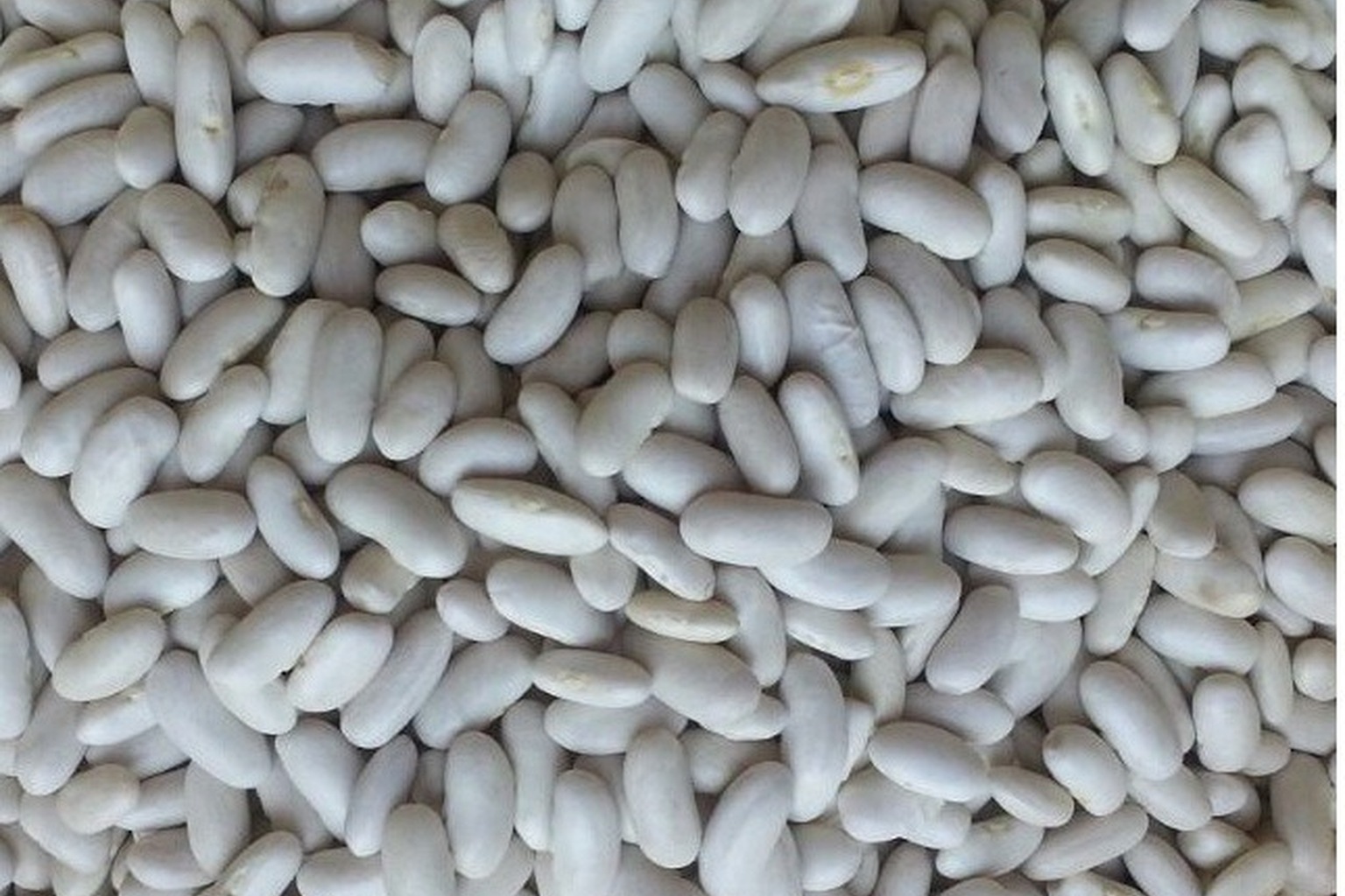 White Beans